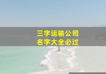 三字运输公司名字大全必过