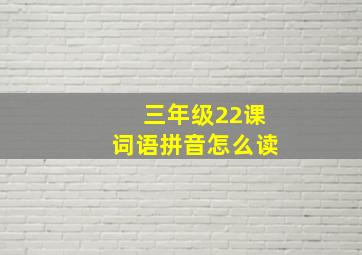 三年级22课词语拼音怎么读