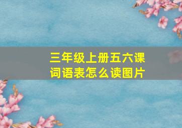 三年级上册五六课词语表怎么读图片