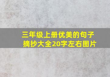 三年级上册优美的句子摘抄大全20字左右图片