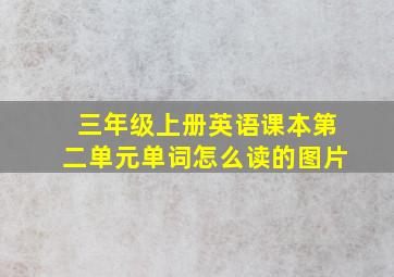 三年级上册英语课本第二单元单词怎么读的图片