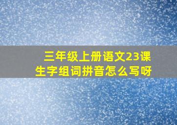 三年级上册语文23课生字组词拼音怎么写呀