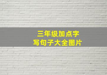 三年级加点字写句子大全图片