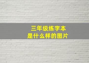 三年级练字本是什么样的图片