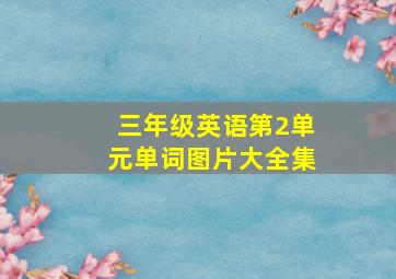 三年级英语第2单元单词图片大全集