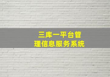 三库一平台管理信息服务系统