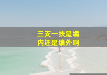 三支一扶是编内还是编外啊