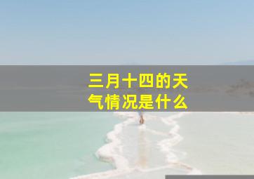 三月十四的天气情况是什么