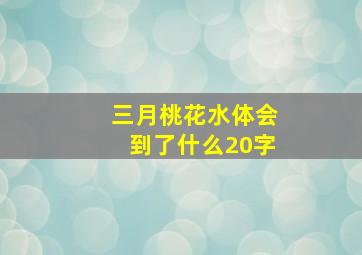 三月桃花水体会到了什么20字