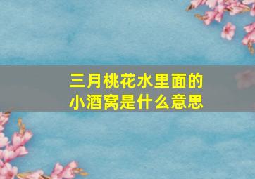 三月桃花水里面的小酒窝是什么意思