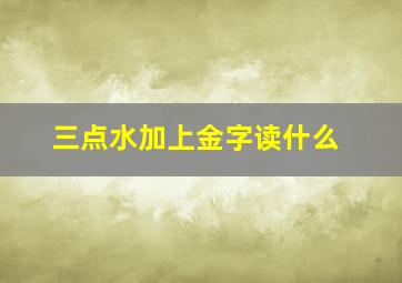 三点水加上金字读什么