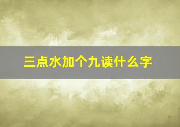 三点水加个九读什么字