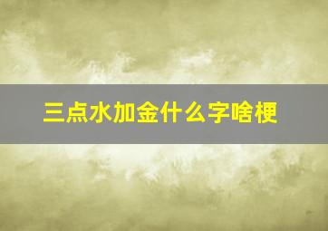 三点水加金什么字啥梗