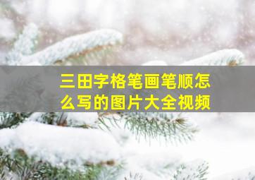 三田字格笔画笔顺怎么写的图片大全视频