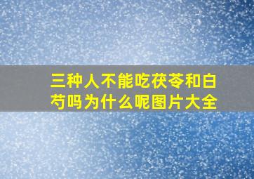 三种人不能吃茯苓和白芍吗为什么呢图片大全