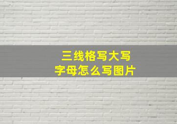 三线格写大写字母怎么写图片