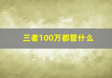 三者100万都管什么