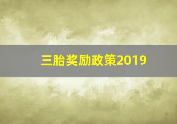 三胎奖励政策2019