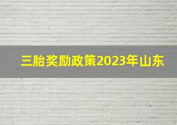 三胎奖励政策2023年山东