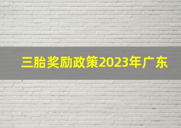 三胎奖励政策2023年广东