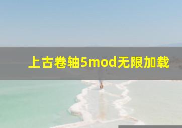 上古卷轴5mod无限加载