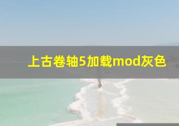 上古卷轴5加载mod灰色