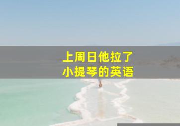 上周日他拉了小提琴的英语