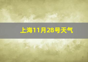 上海11月28号天气