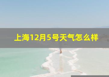 上海12月5号天气怎么样