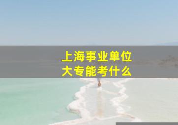 上海事业单位大专能考什么