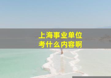 上海事业单位考什么内容啊