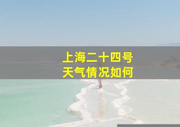 上海二十四号天气情况如何