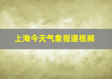 上海今天气象报道视频