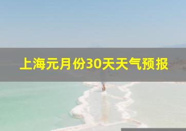 上海元月份30天天气预报