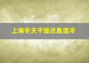 上海冬天干燥还是湿冷