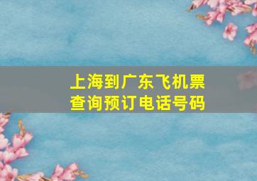 上海到广东飞机票查询预订电话号码