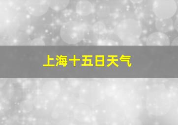 上海十五日天气