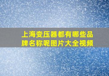 上海变压器都有哪些品牌名称呢图片大全视频