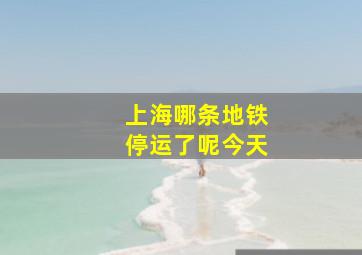 上海哪条地铁停运了呢今天