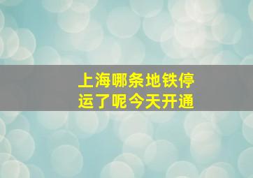 上海哪条地铁停运了呢今天开通