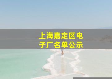 上海嘉定区电子厂名单公示