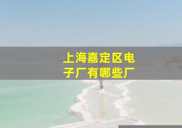 上海嘉定区电子厂有哪些厂