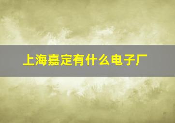 上海嘉定有什么电子厂