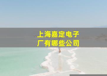 上海嘉定电子厂有哪些公司