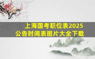 上海国考职位表2025公告时间表图片大全下载