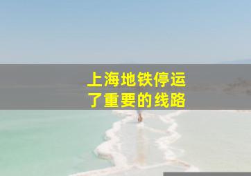 上海地铁停运了重要的线路