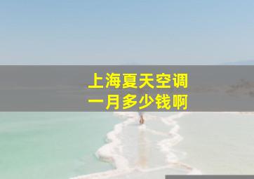 上海夏天空调一月多少钱啊