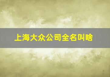 上海大众公司全名叫啥