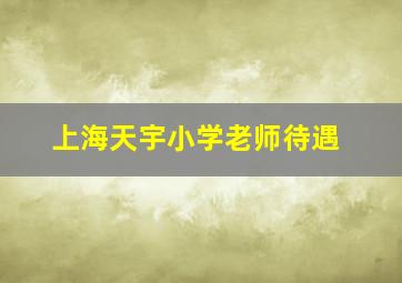 上海天宇小学老师待遇