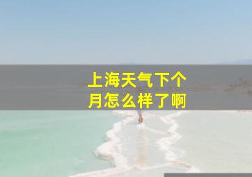 上海天气下个月怎么样了啊